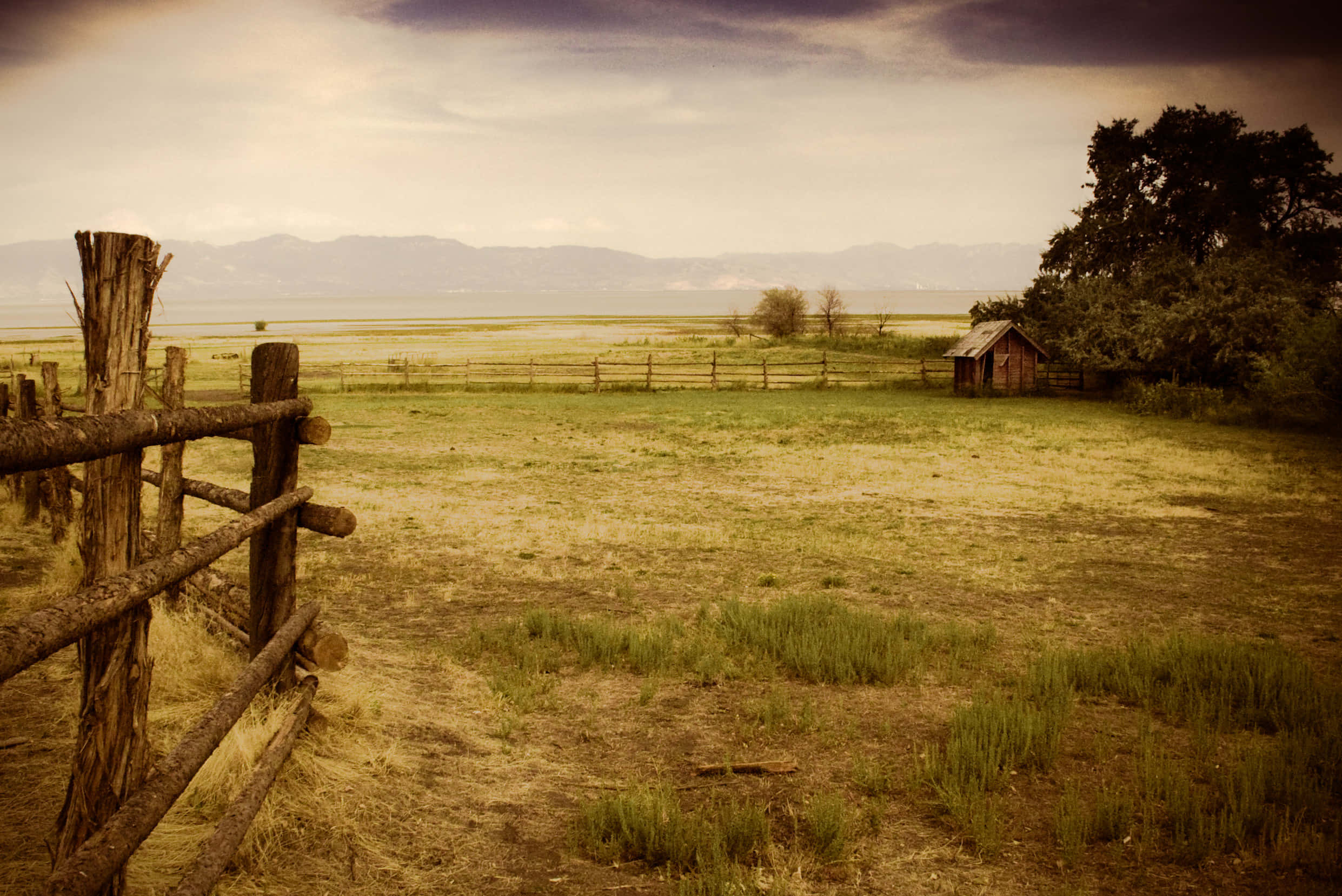 wooden fence, rustic shed, grassy field, Full HD Desktop Wallpaper
