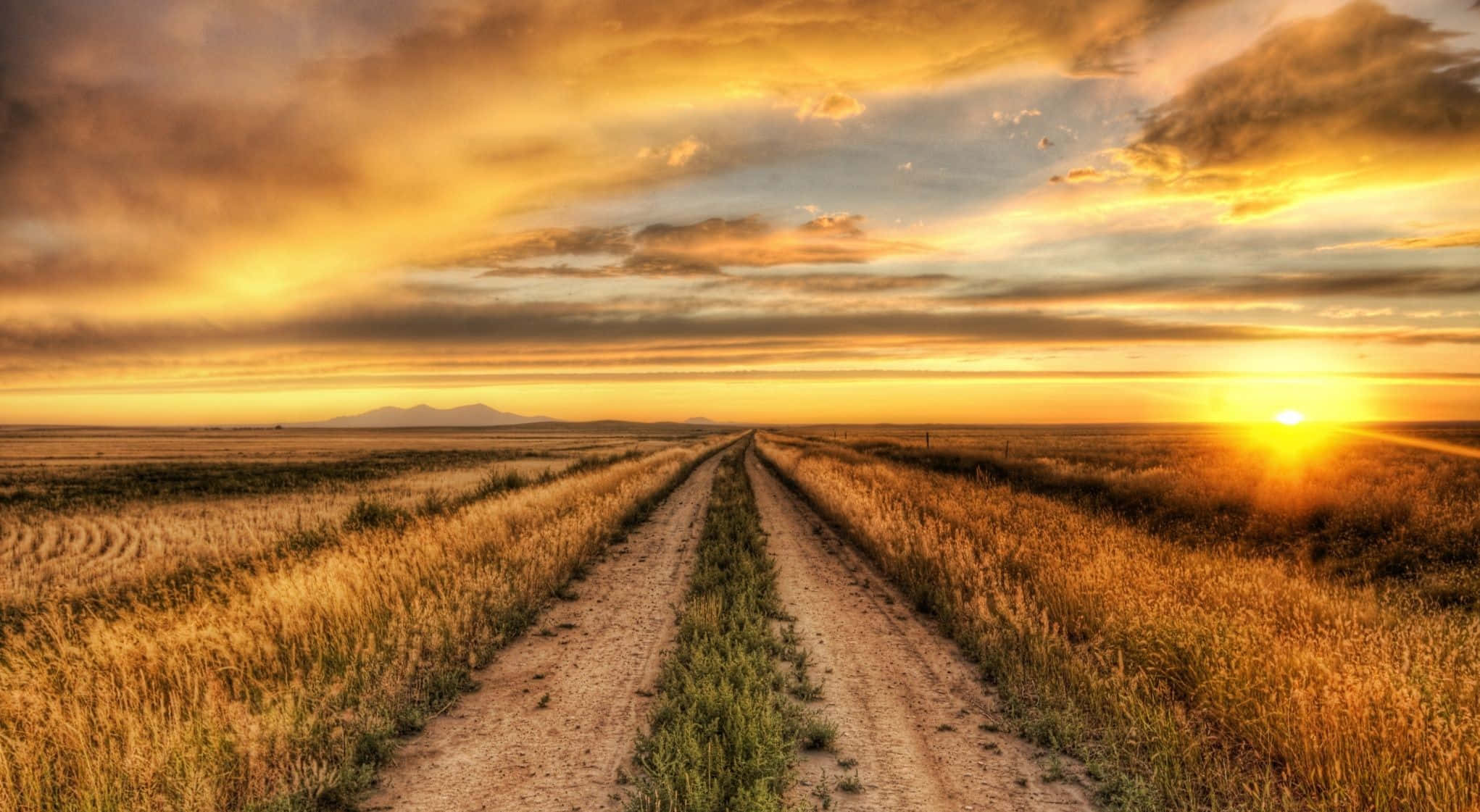 dirt road, golden fields, distant mountain range, Full HD Desktop Wallpaper