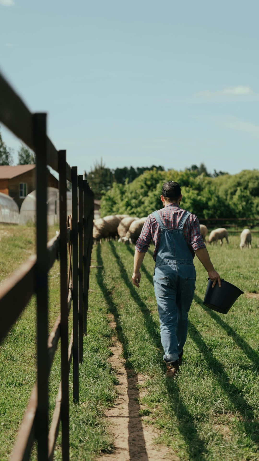farmer, overalls, sunlit dirt path, Full HD Phone Wallpaper