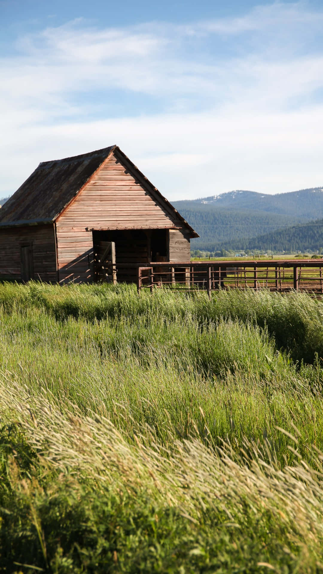 rustic barn, country farm, tall green grass, Full HD Phone Wallpaper