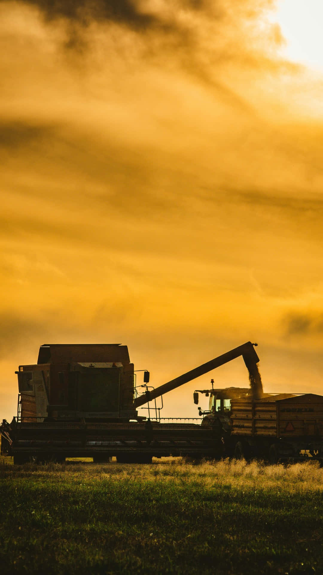 combine harvester, golden grain, truck, Full HD Phone Wallpaper