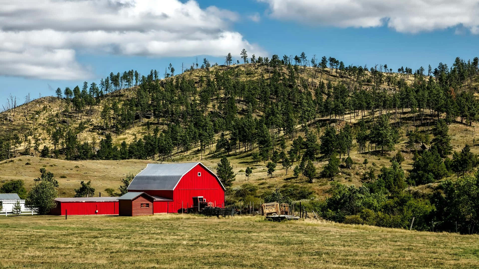 red barn, silver roof, golden field, Full HD Desktop Wallpaper