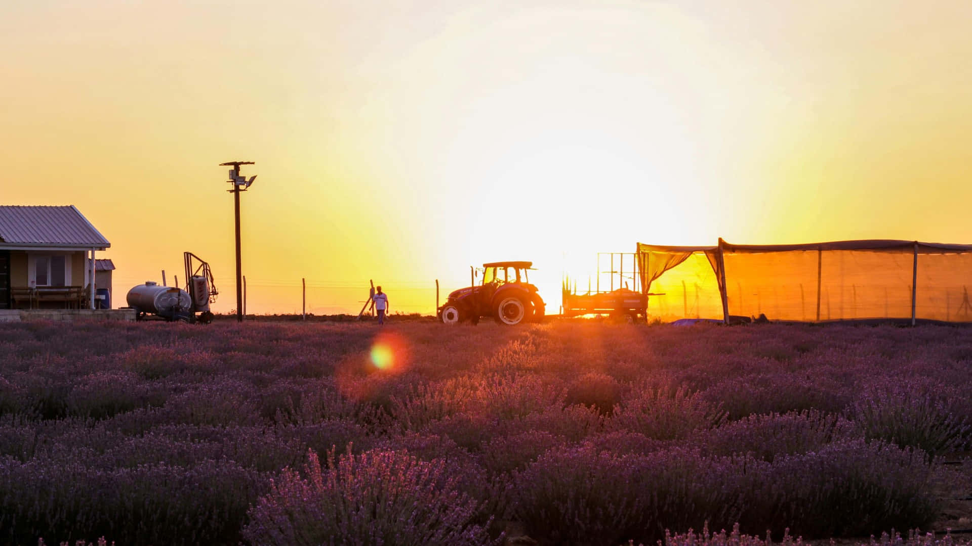 sunset, country farm, tractor, Full HD Desktop Wallpaper
