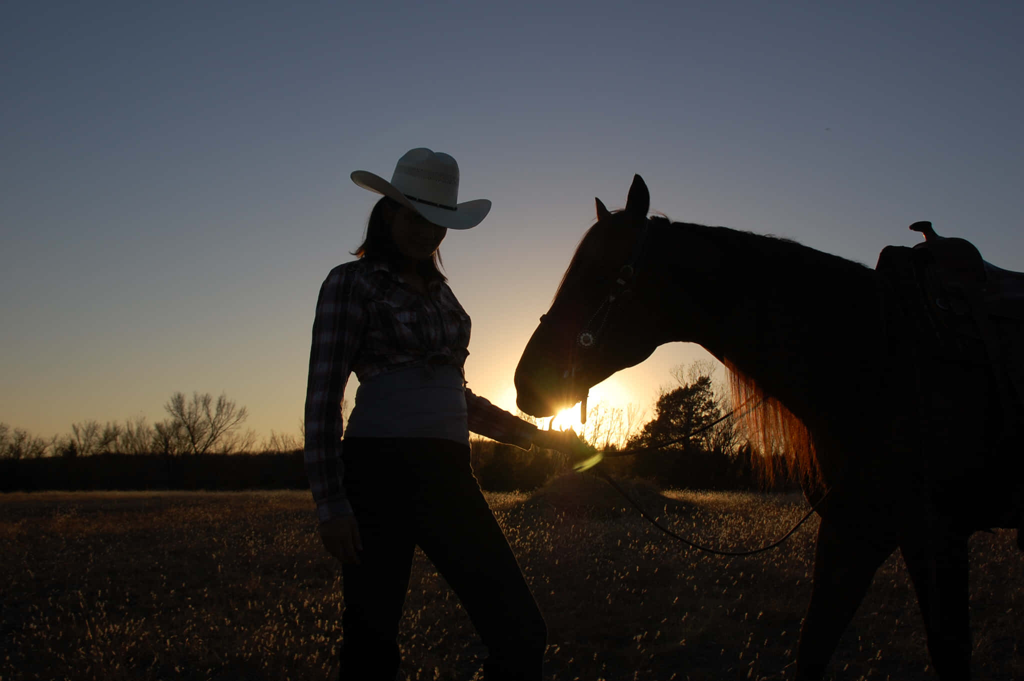 Country Girl Aesthetic, cowboy silhouette, saddled horse, Full HD Desktop Wallpaper