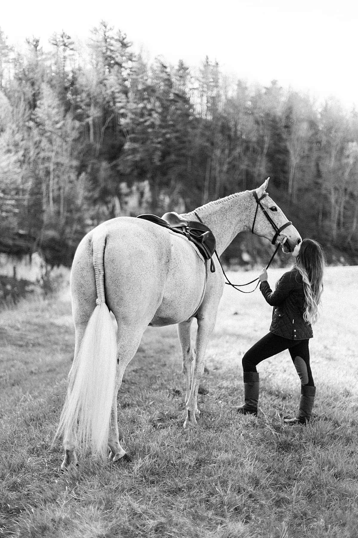 Country Girl Aesthetic, riding gear, white horse, HD Phone Wallpaper