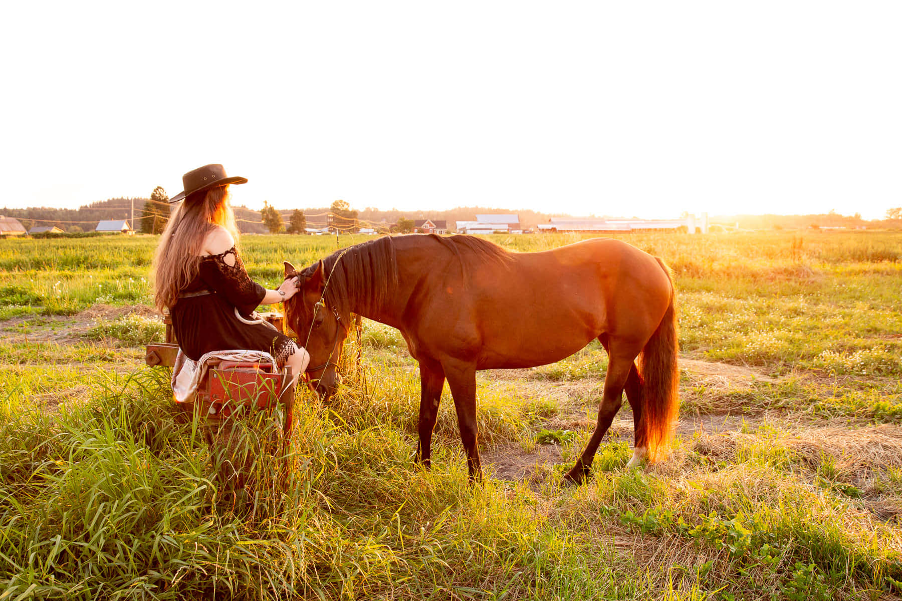 Country Girl Aesthetic, cowboy hat, chestnut horse, HD Desktop Wallpaper