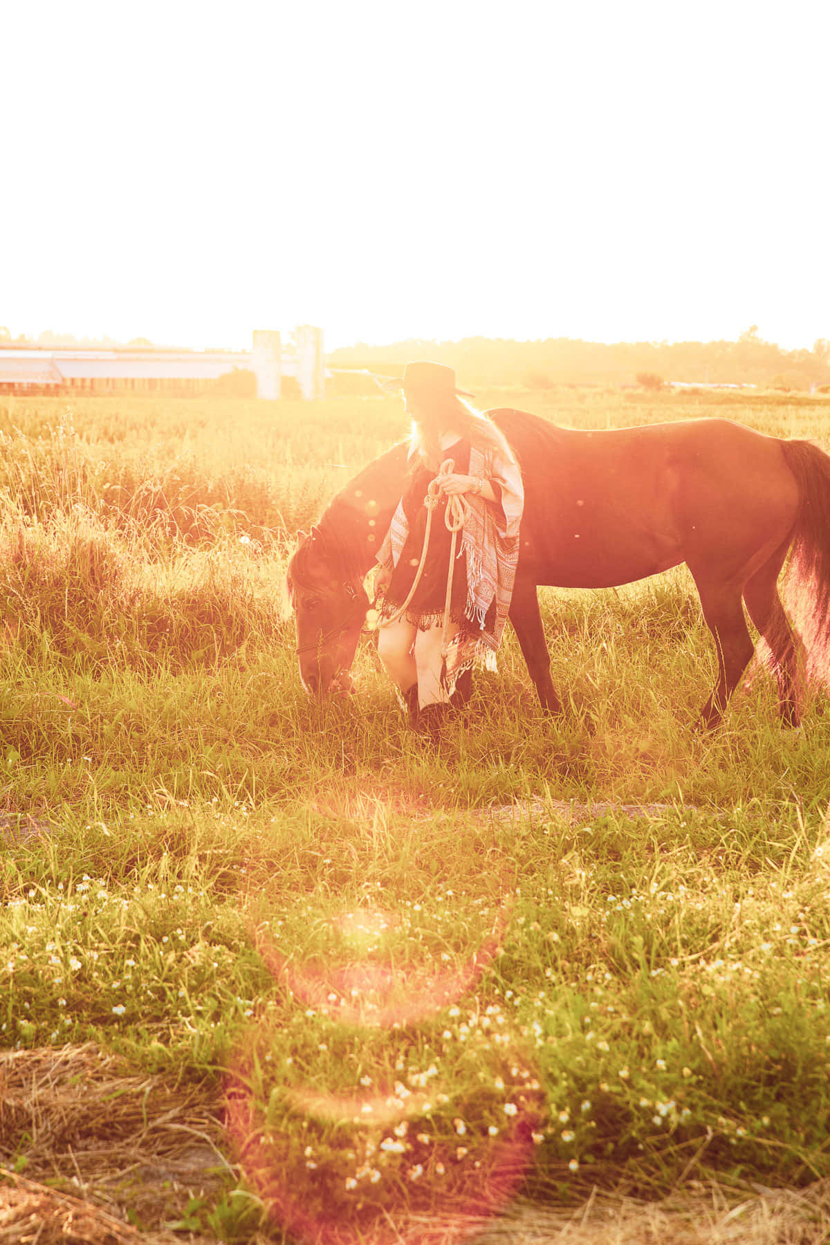 Country Girl Aesthetic, sunlit field, tall grass, HD Phone Wallpaper