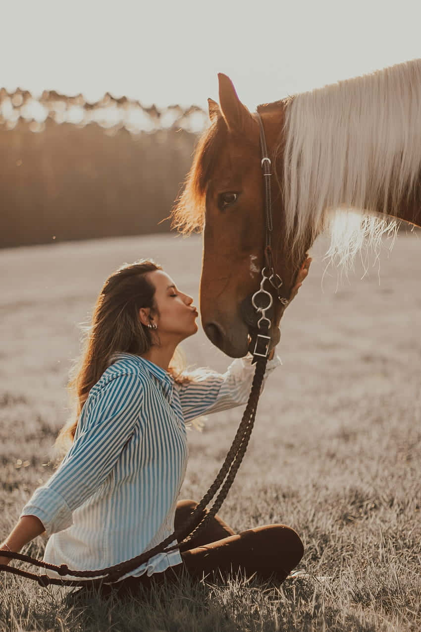 Country Girl Aesthetic, horse, sunlight, SD Phone Wallpaper