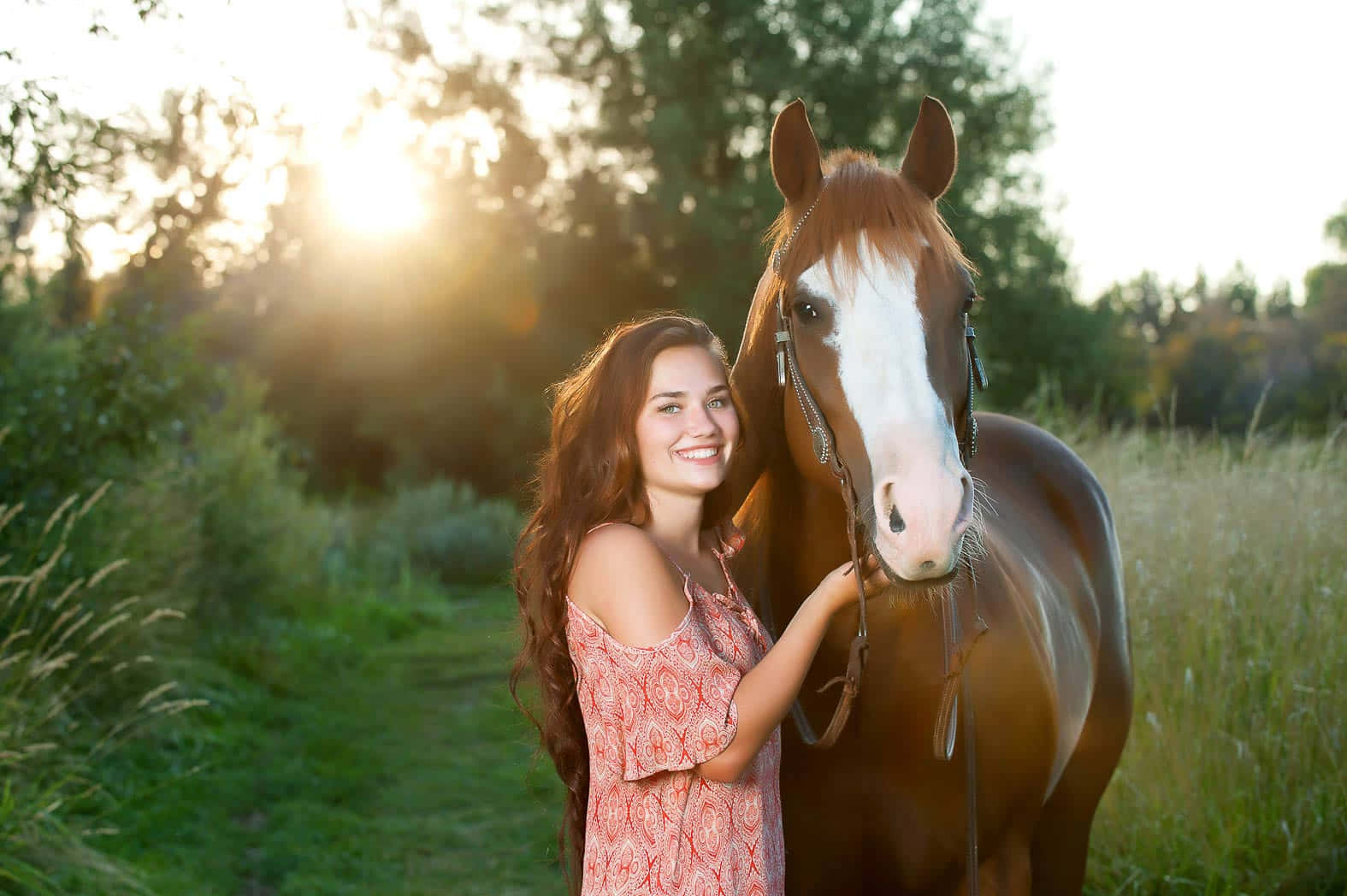 Country Girl, brown horse, white blaze, HD Desktop Wallpaper