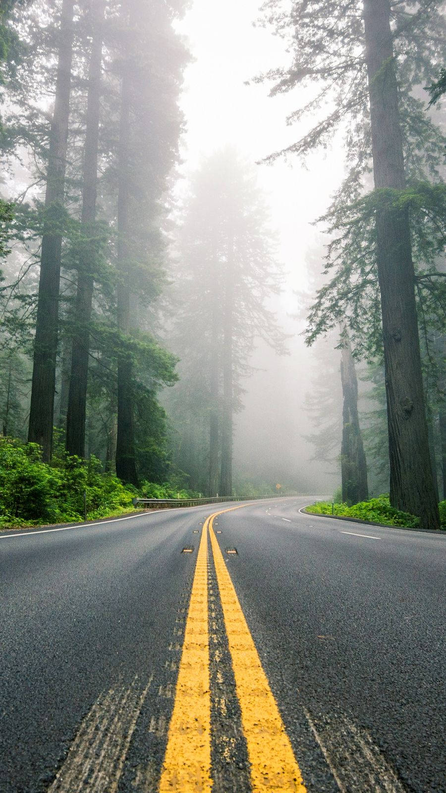 Country iPhone, winding road, yellow lines, HD Phone Wallpaper