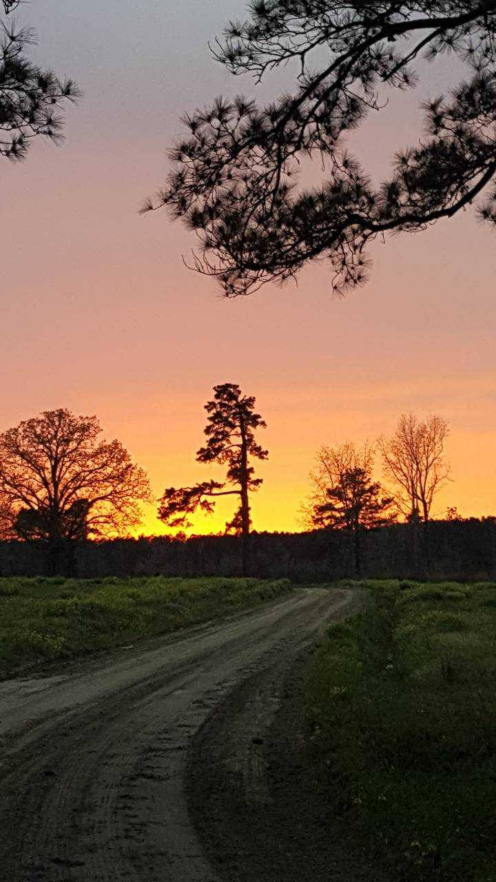 Country iPhone, dirt road, grassy field, HD Phone Wallpaper