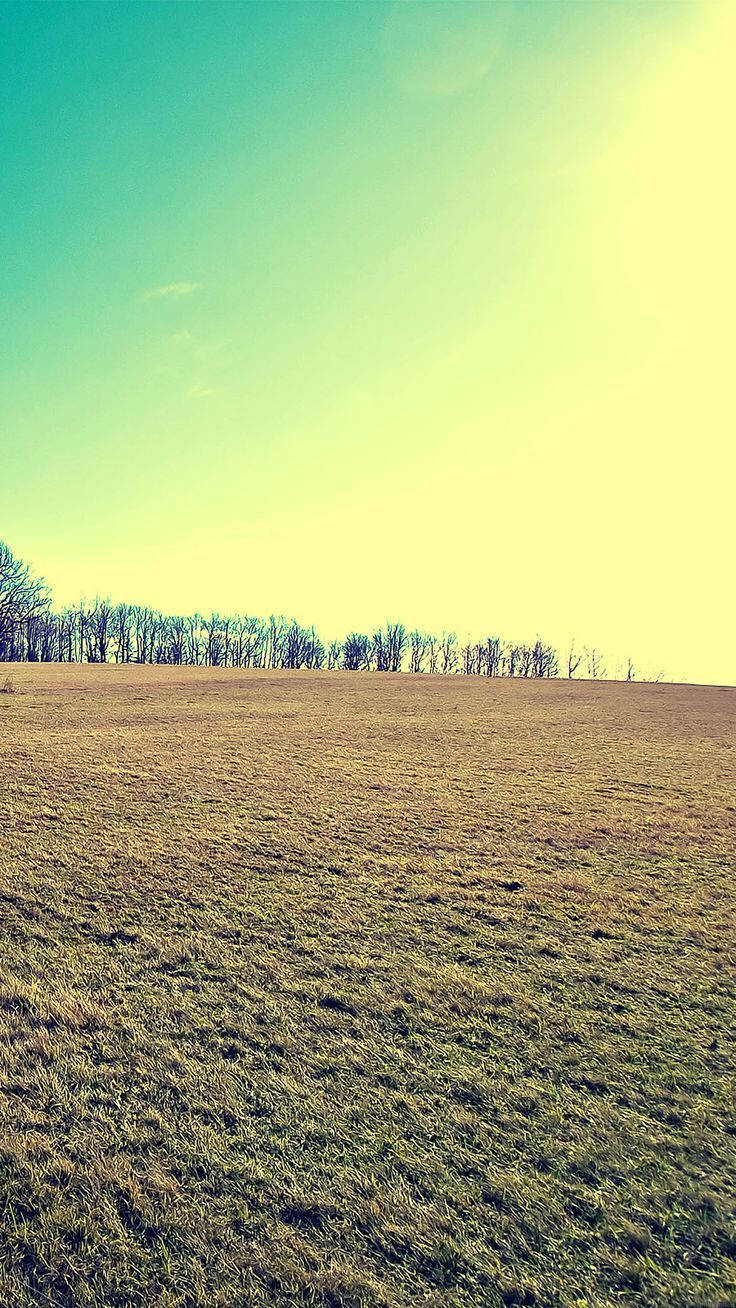 Country iPhone, golden field, bright yellow sky, HD Phone Wallpaper