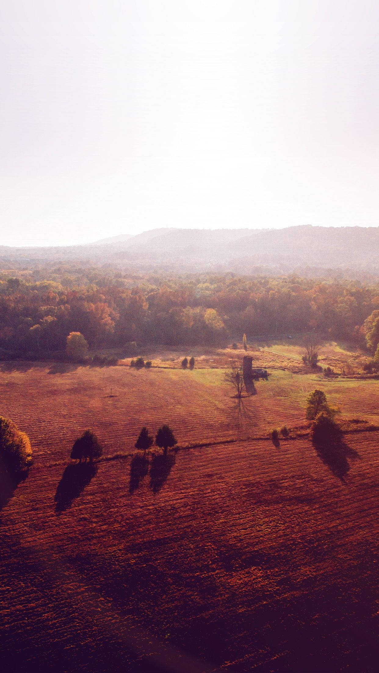 Country iPhone, autumnal fields, golden sunrise light, Full HD Phone Wallpaper