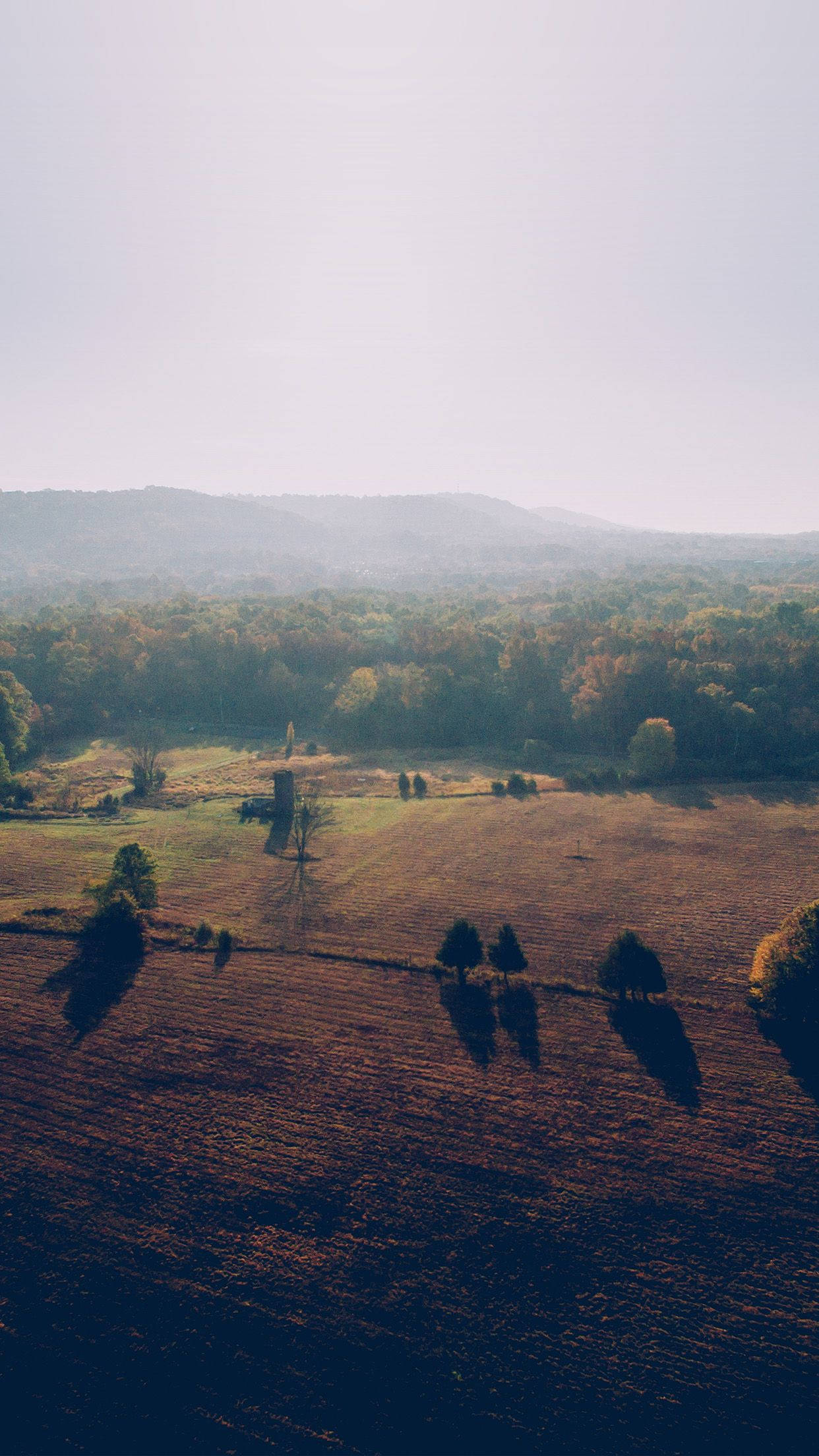 Country iPhone, autumn field, sunlit, Full HD Phone Wallpaper