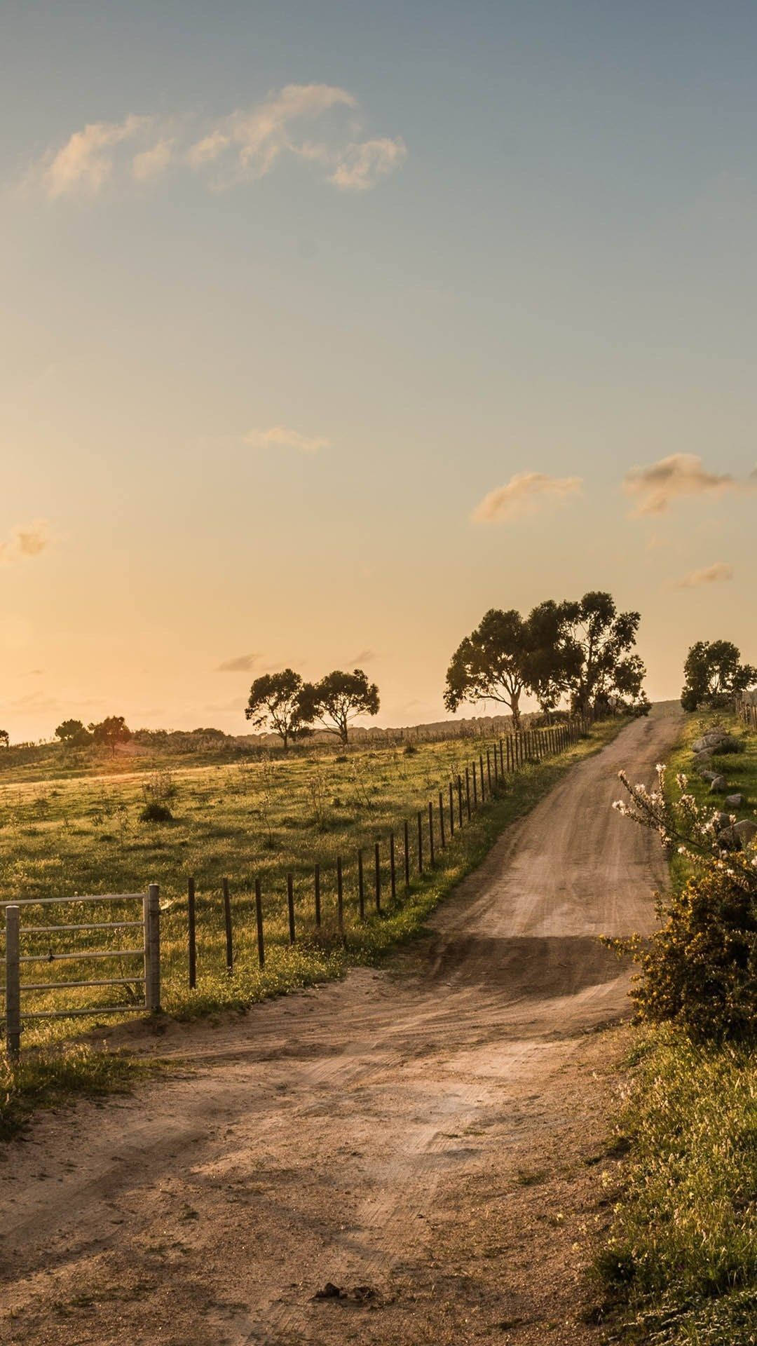 Country iPhone, dirt road, golden grasslands, Full HD Phone Wallpaper