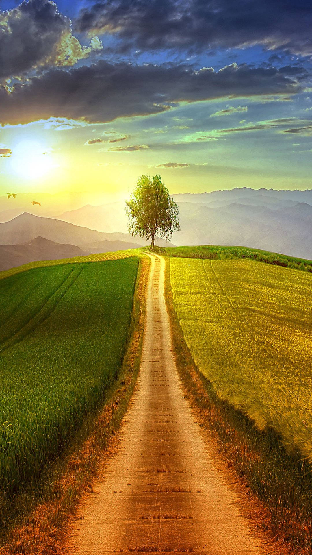 country road, dirt path, lone tree, Full HD Phone Wallpaper