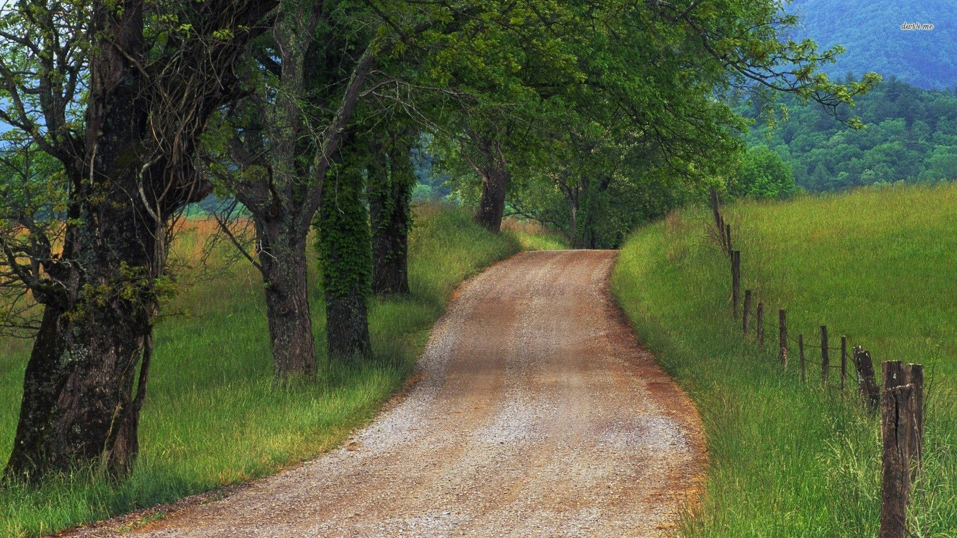 country road, gravel path, lush green trees, Full HD Desktop Wallpaper