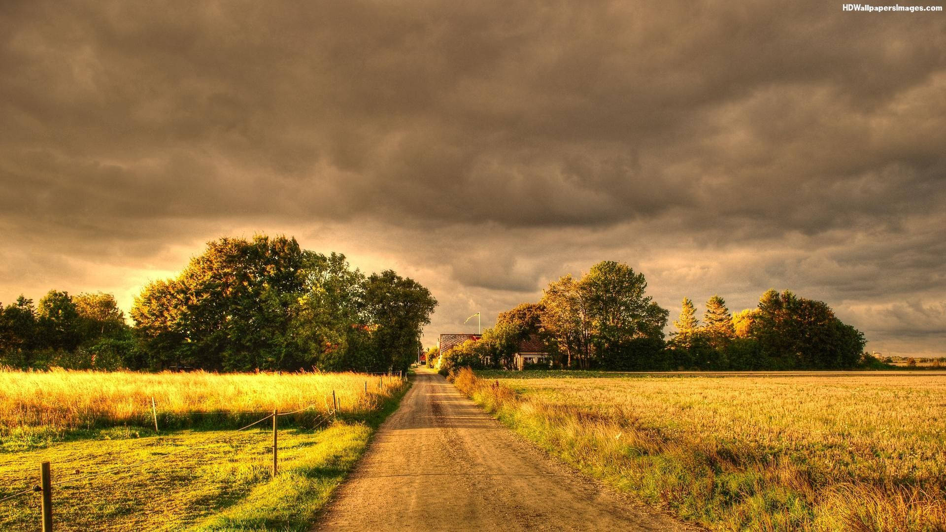 country road, golden fields, dramatic stormy sky, Full HD Desktop Wallpaper