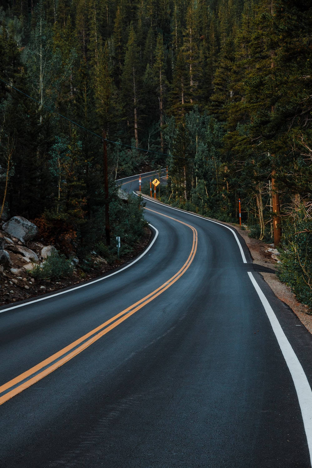 Country road, asphalt road, dense forest, HD Phone Wallpaper