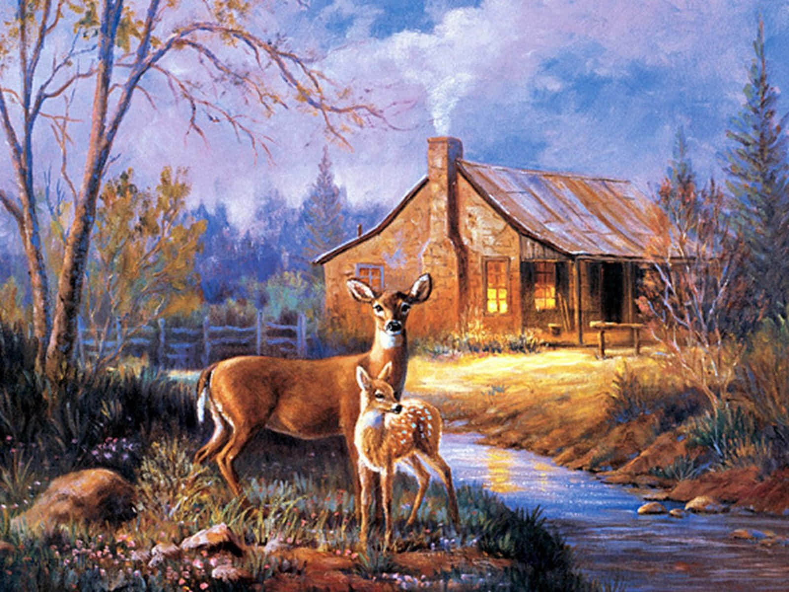 Deer, fawn, creek, HD Desktop Wallpaper