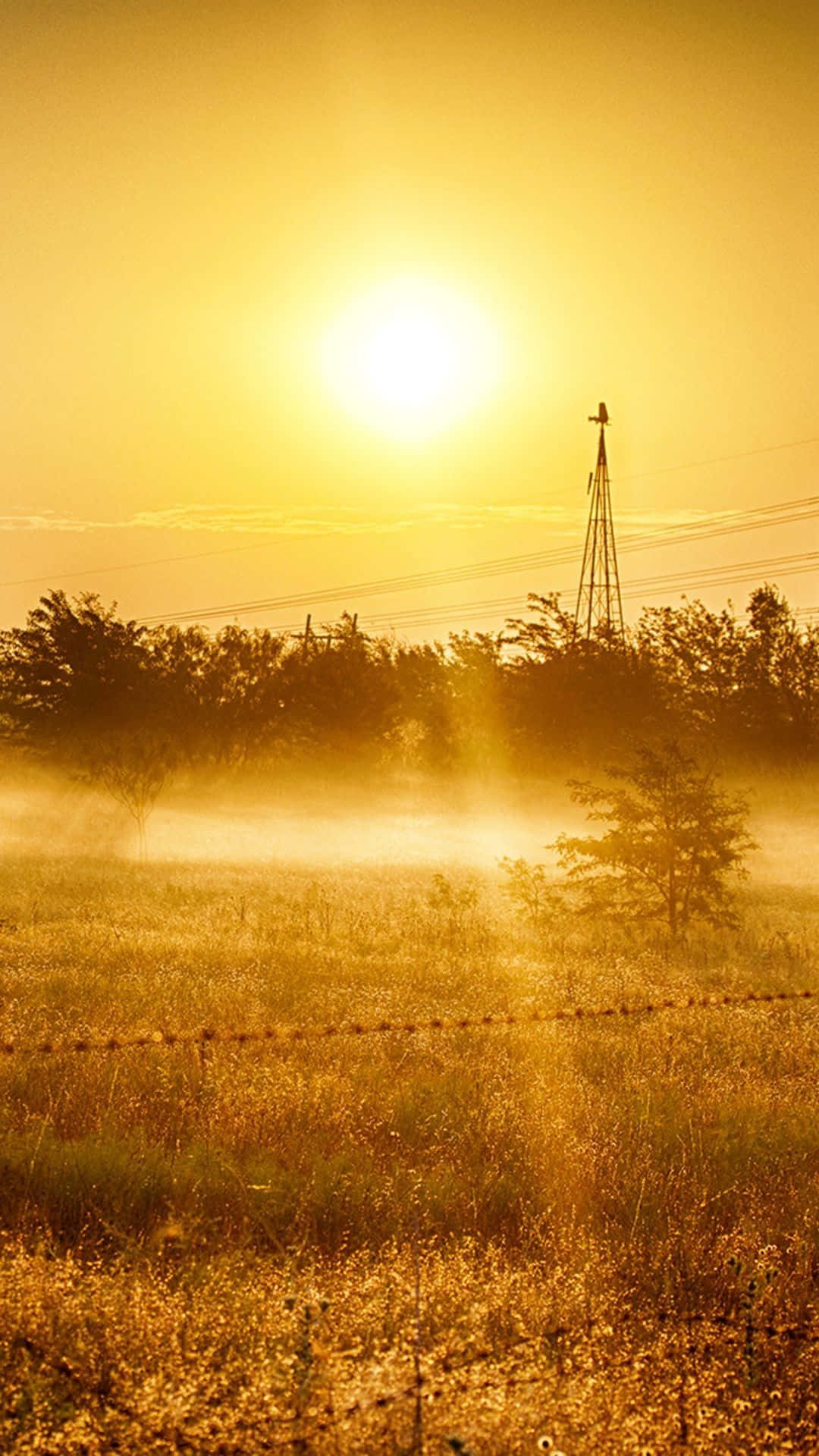 Sunset Sky, Country Scenes, Golden sunrise, Full HD Phone Wallpaper