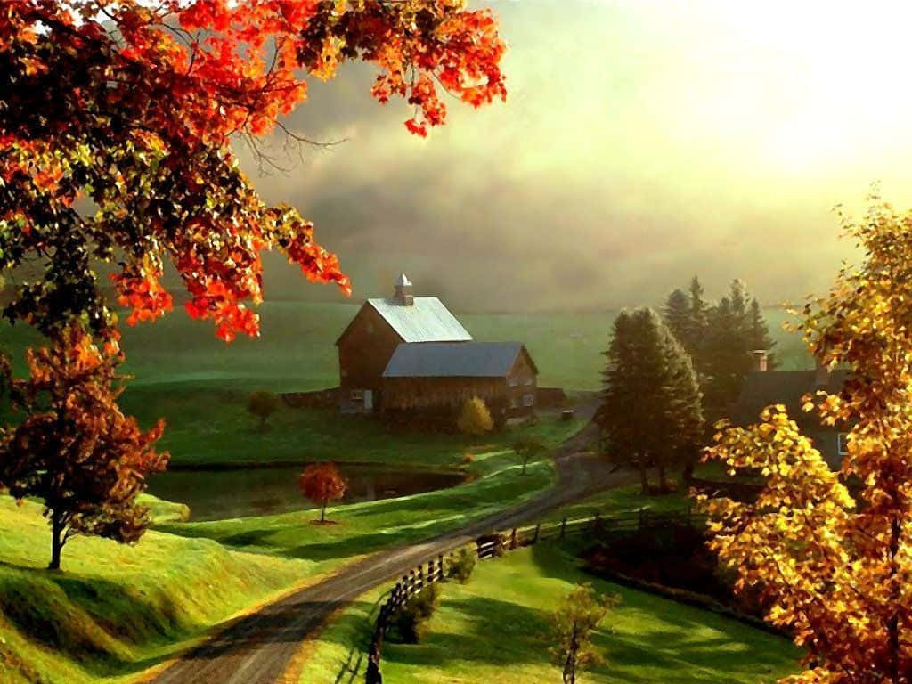 rustic wooden barn, sunlit autumn valley, fiery red and gold foliage, SD Desktop Wallpaper
