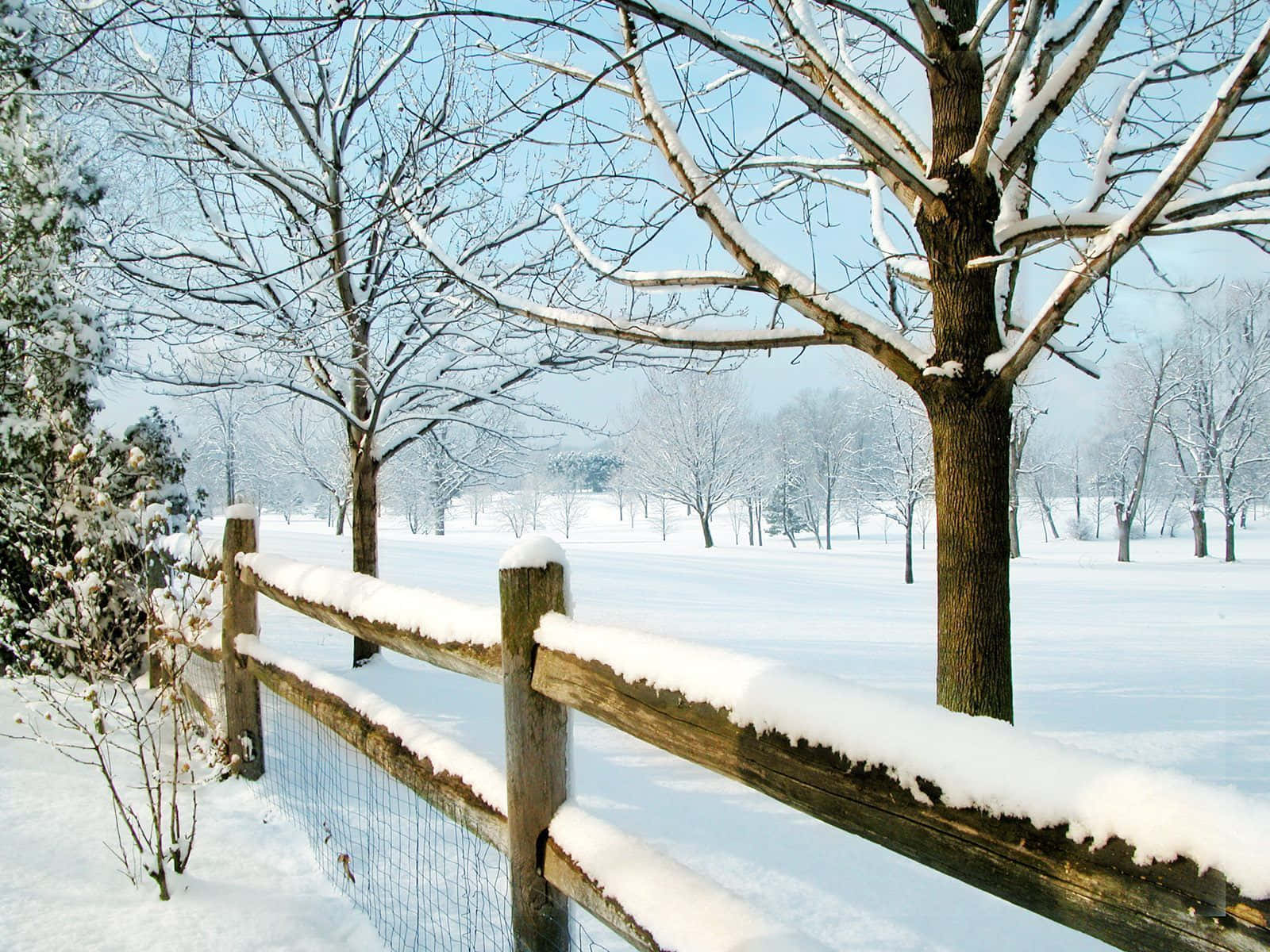snow-covered wooden fence, serene winter field, bare trees, HD Desktop Wallpaper