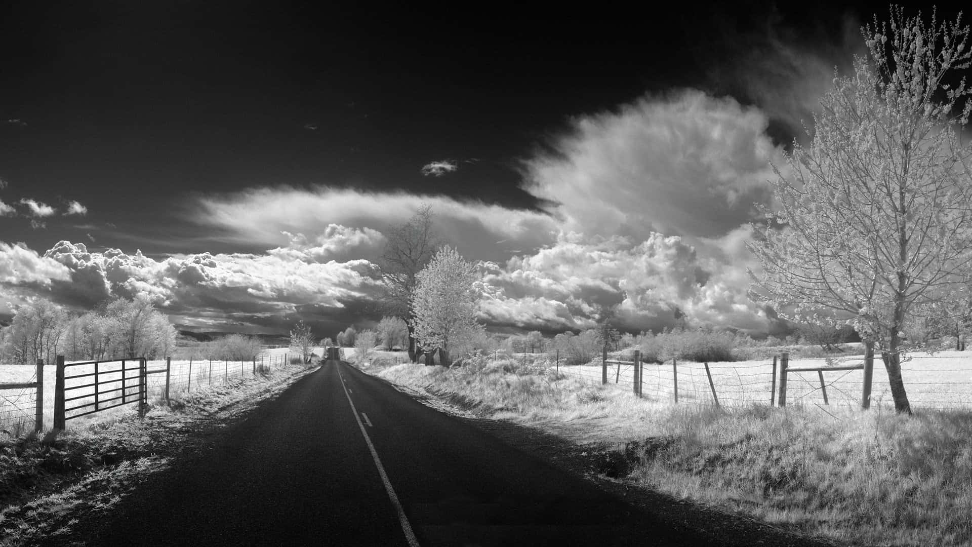 black and white infrared photo, rural road, dramatic cloudy sky, Full HD Desktop Wallpaper