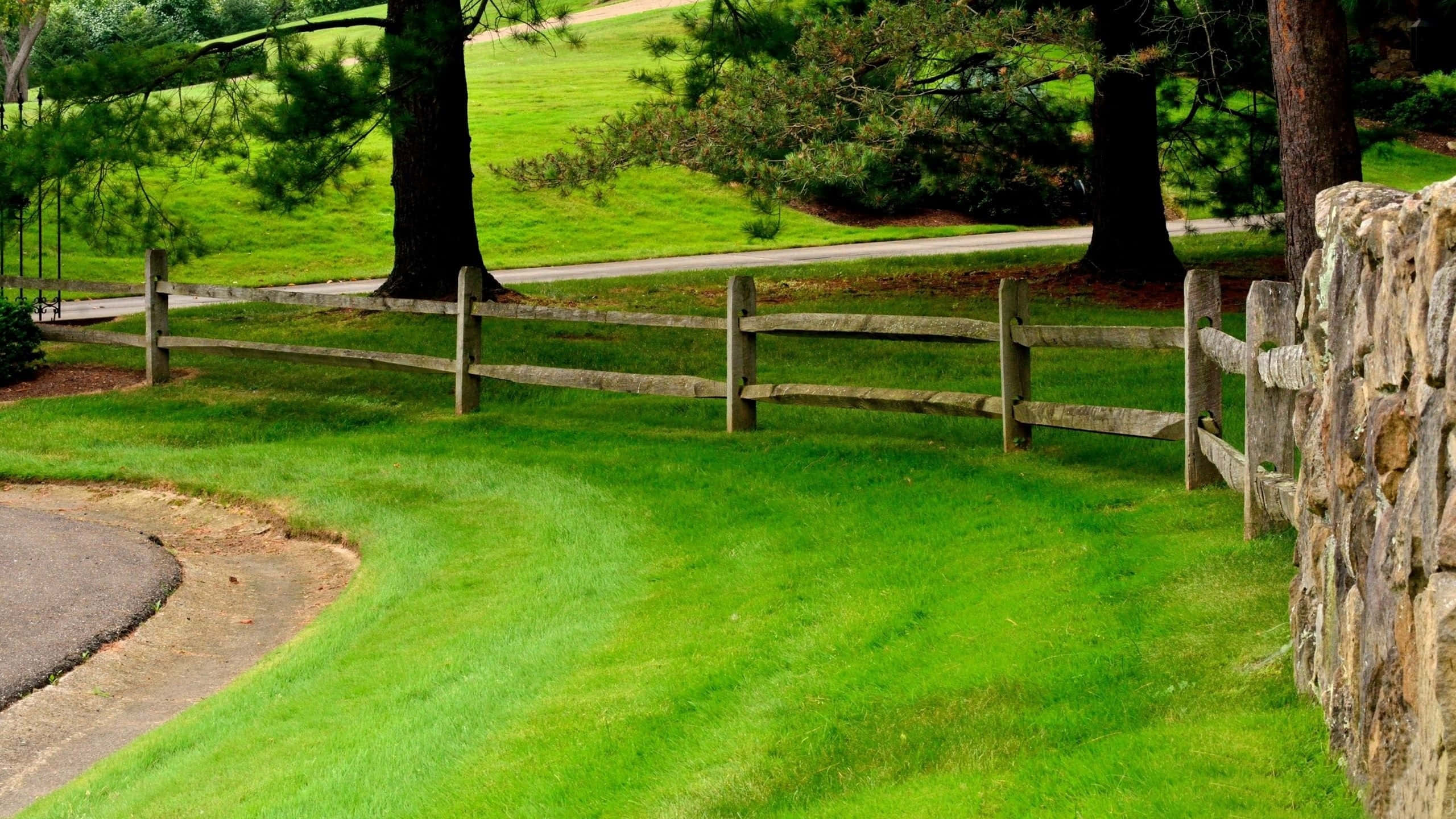 rolling hills, grazing sheep, beautiful foliage, 2K Desktop Wallpaper