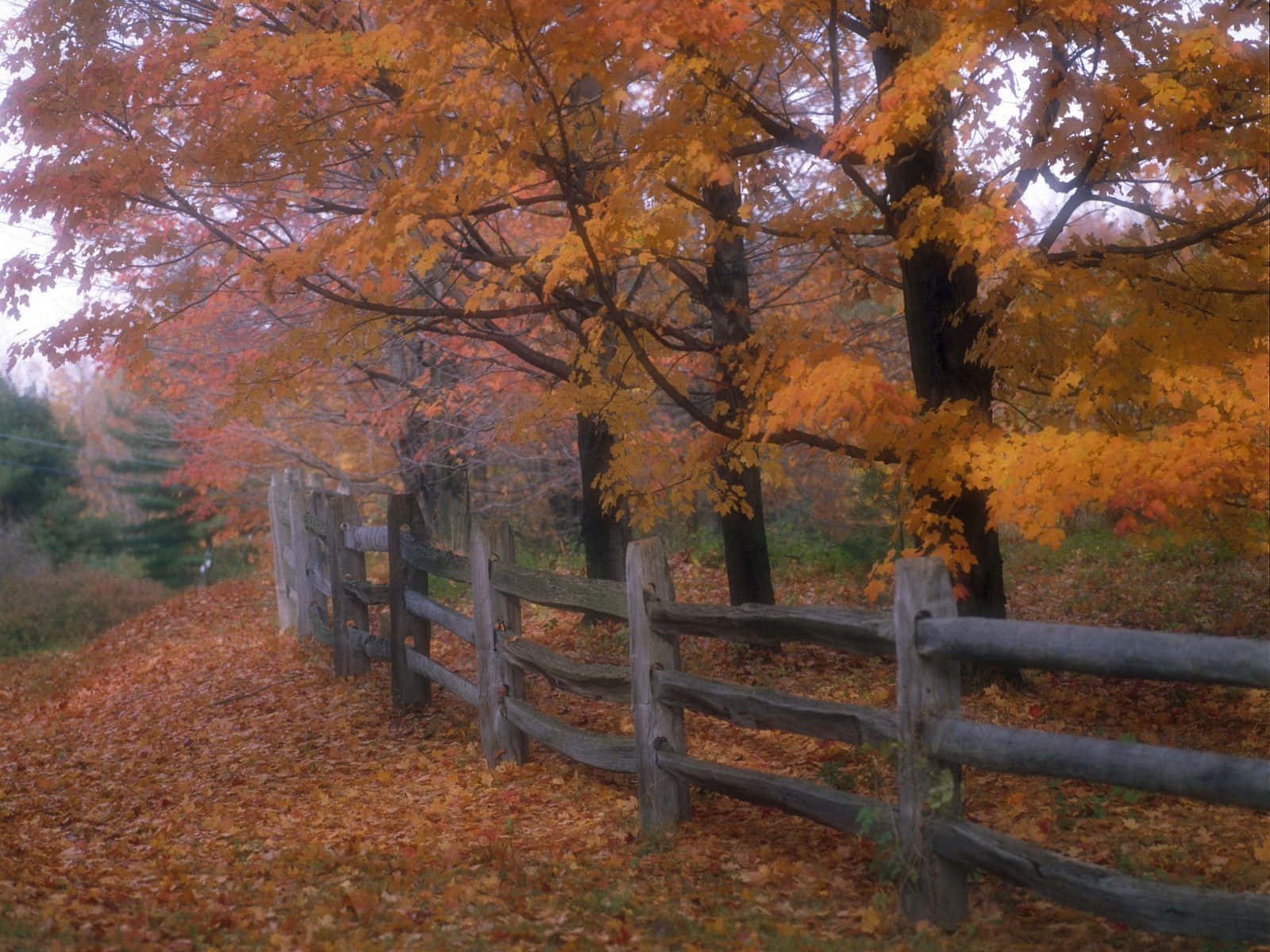 small lake, countryside, weathered wooden fence, HD Desktop Wallpaper