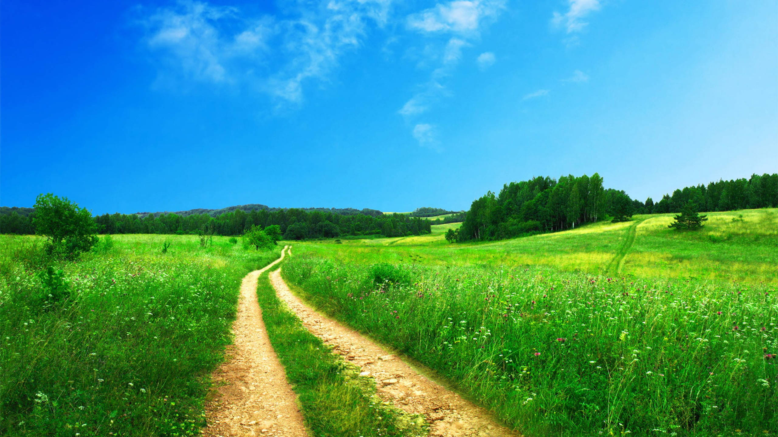 Country Summer, dirt road, grassland, 2K Desktop Wallpaper