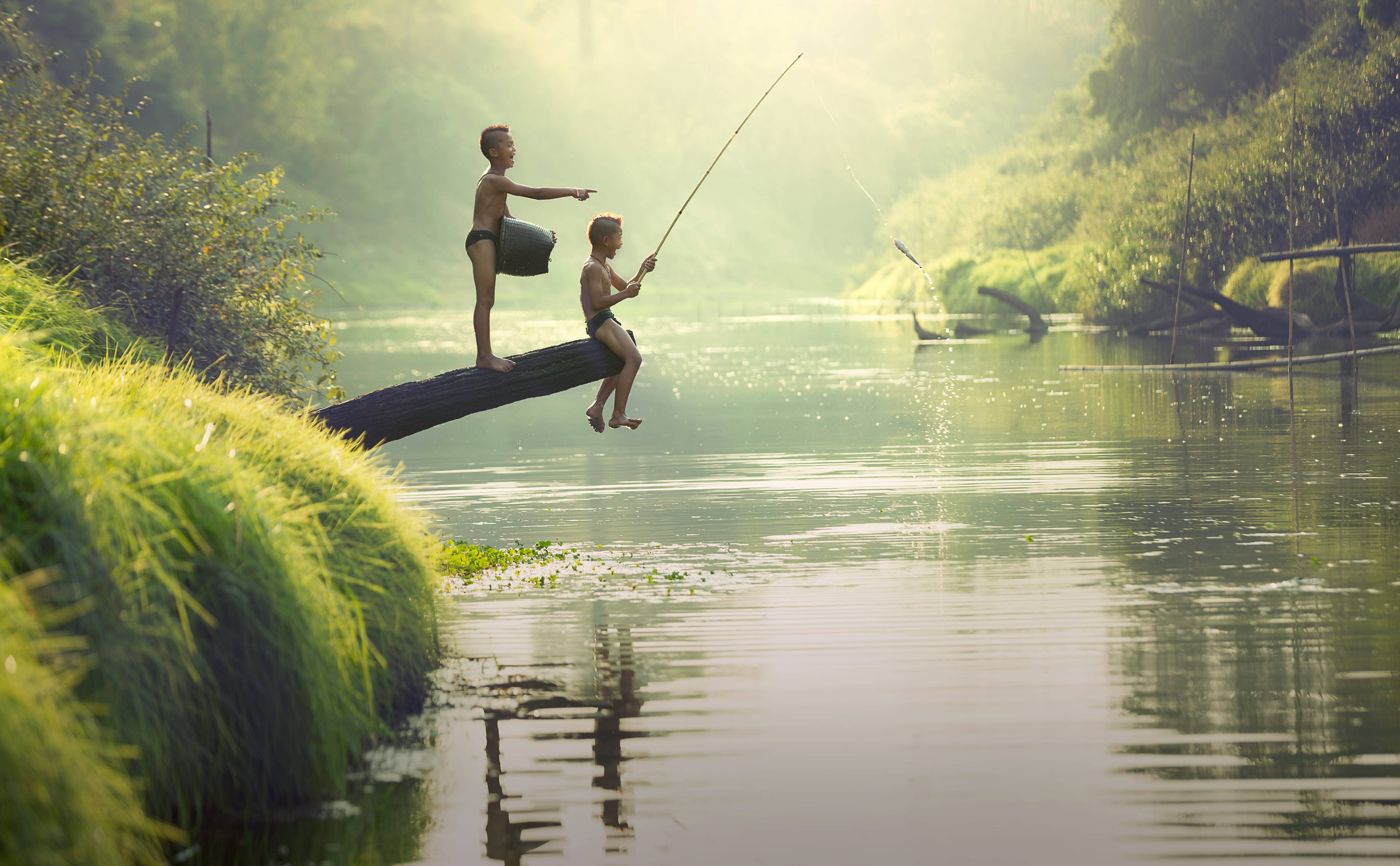 Country Summer, fishing, mossy log, 5K Desktop Wallpaper