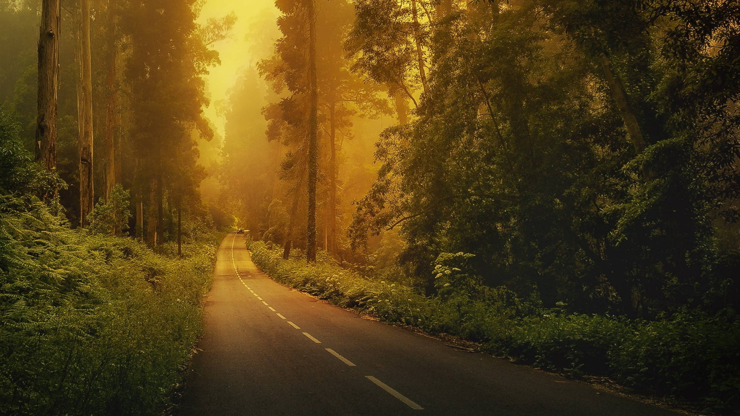 Country Summer, sunset, winding road, 2K Desktop Wallpaper