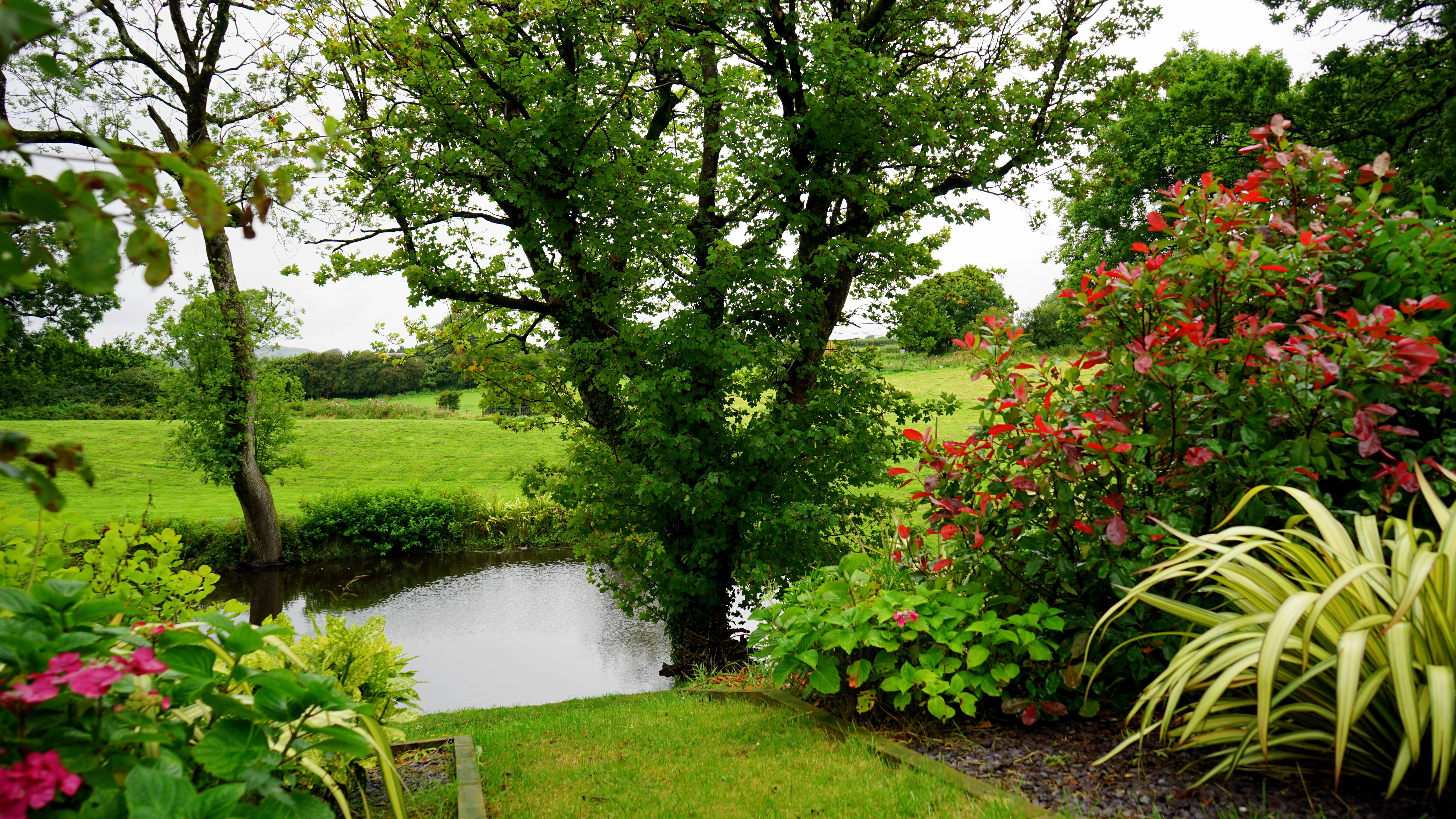 Country Summer, garden pond, lush green trees, 5K Desktop Wallpaper