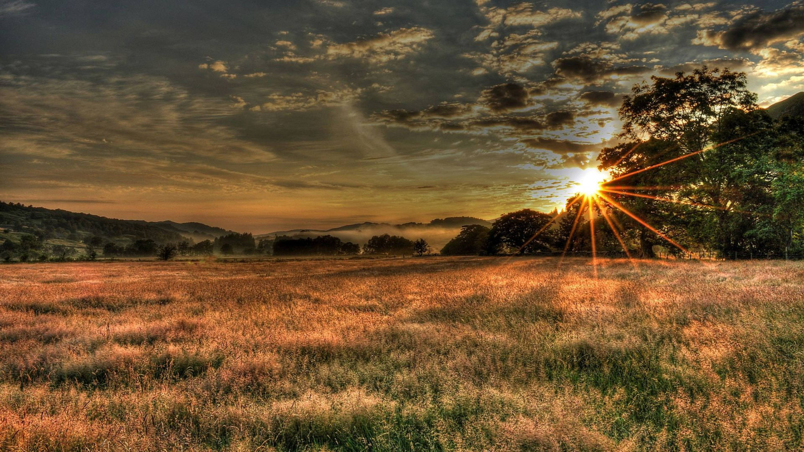 Country Summer, golden field, misty hills, 2K Desktop Wallpaper