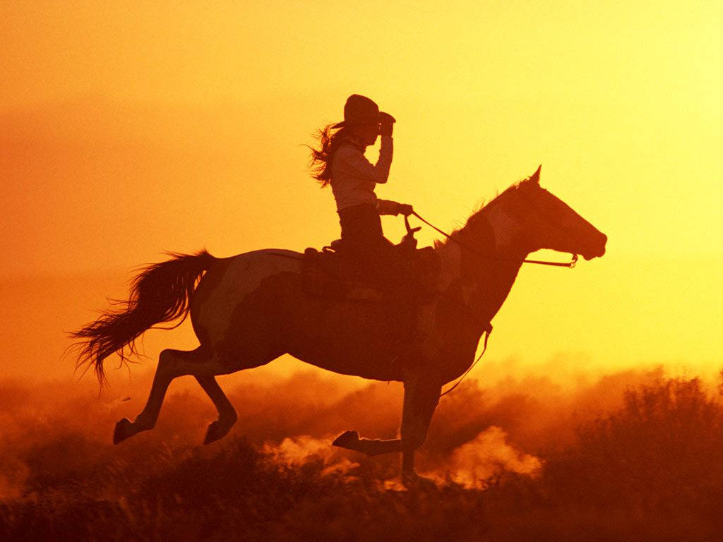 Country Western, sunset, galloping horse, SD Desktop Wallpaper