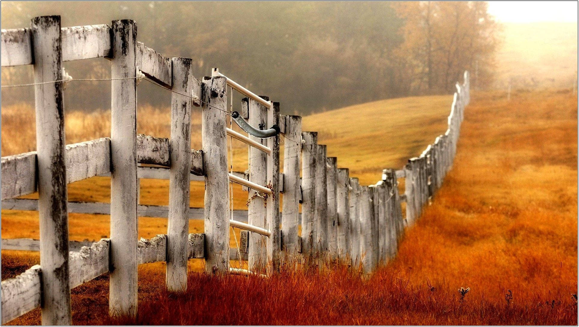 old white wooden fence, golden field, hazy sunrise, Full HD Desktop Wallpaper