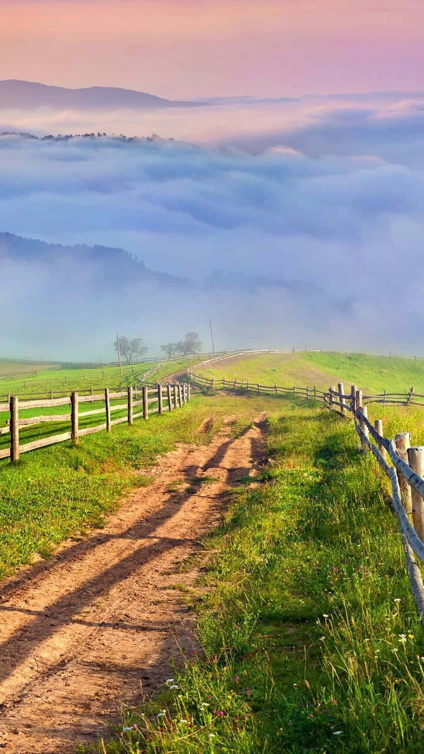 foggy mountain, dirt path, green hillsides, HD Phone Wallpaper