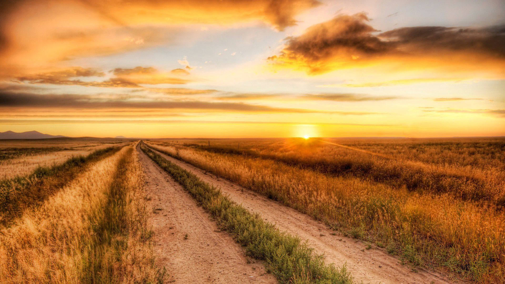 dirt road, countryside, golden grasslands, Full HD Desktop Wallpaper