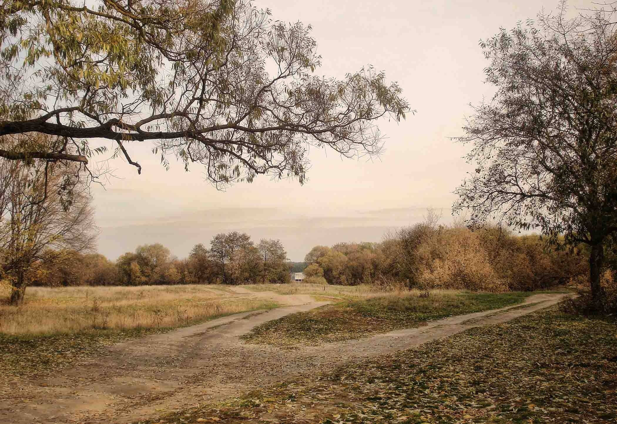 country roads, trees, autumn field, Full HD Desktop Wallpaper