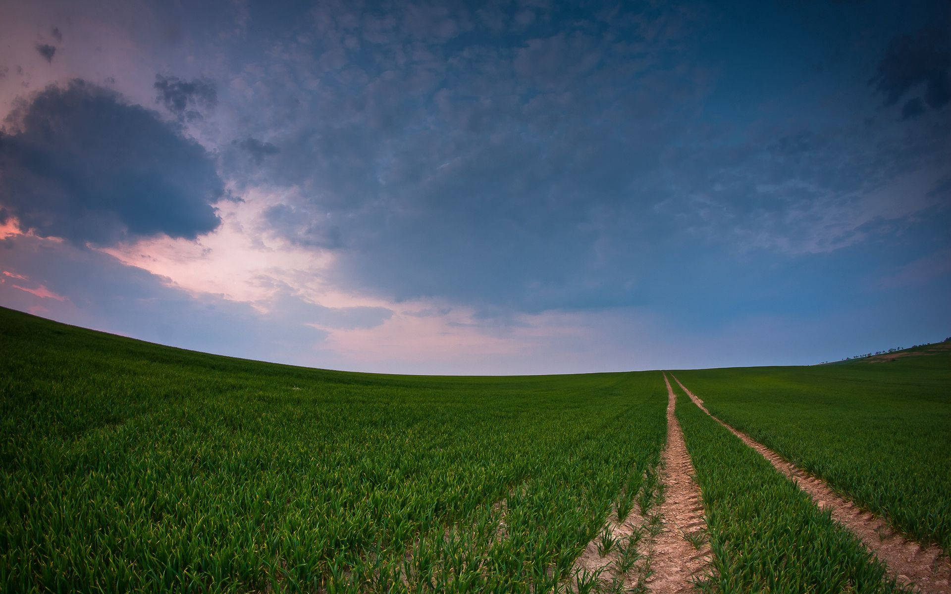 vast green field, winding dirt path, dramatic twilight sky, Full HD Desktop Wallpaper