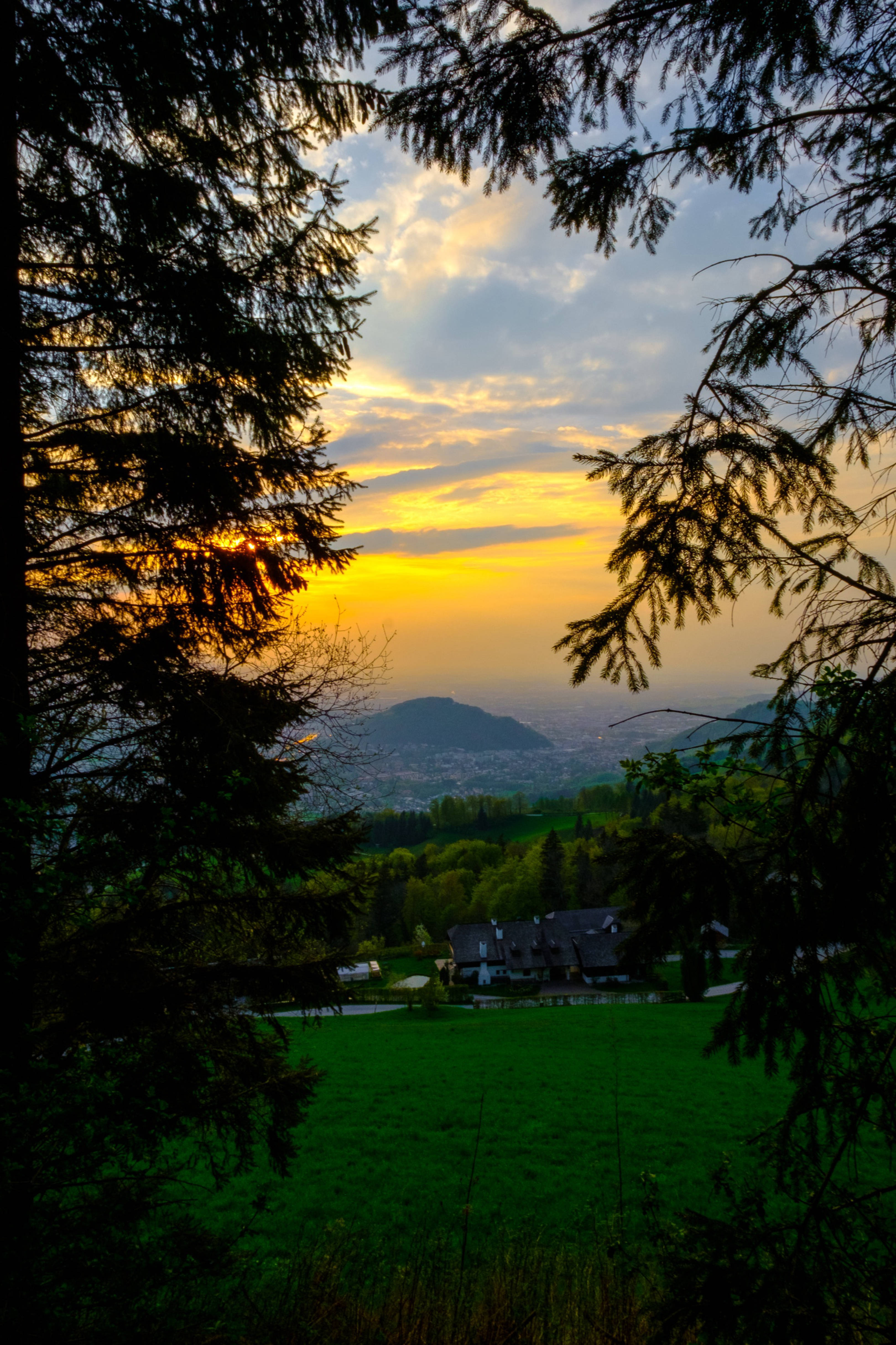 country hill villa forest, Sunset, pine branches, 4K Phone Wallpaper