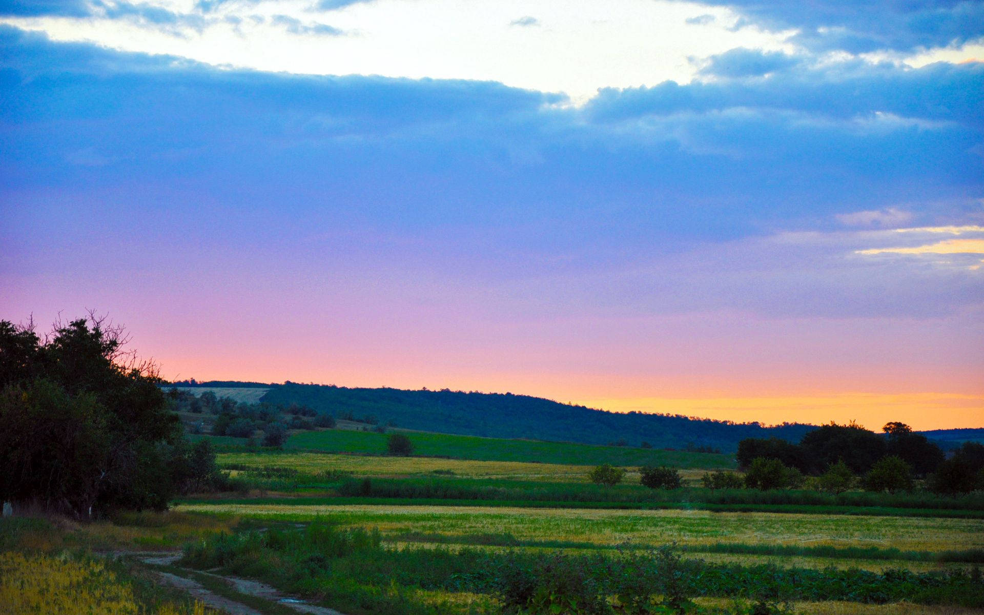 country field, evening, sunset, Full HD Desktop Wallpaper