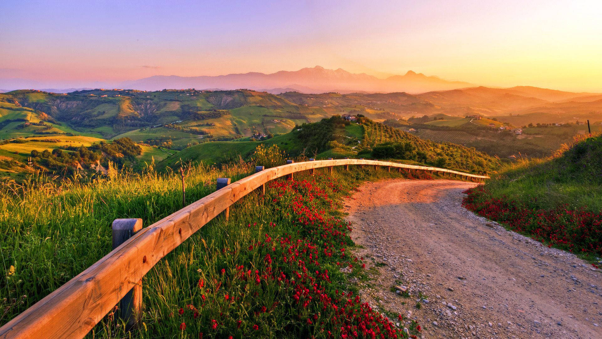 mountain country road, sunlit green hills, red wildflowers, Full HD Desktop Wallpaper