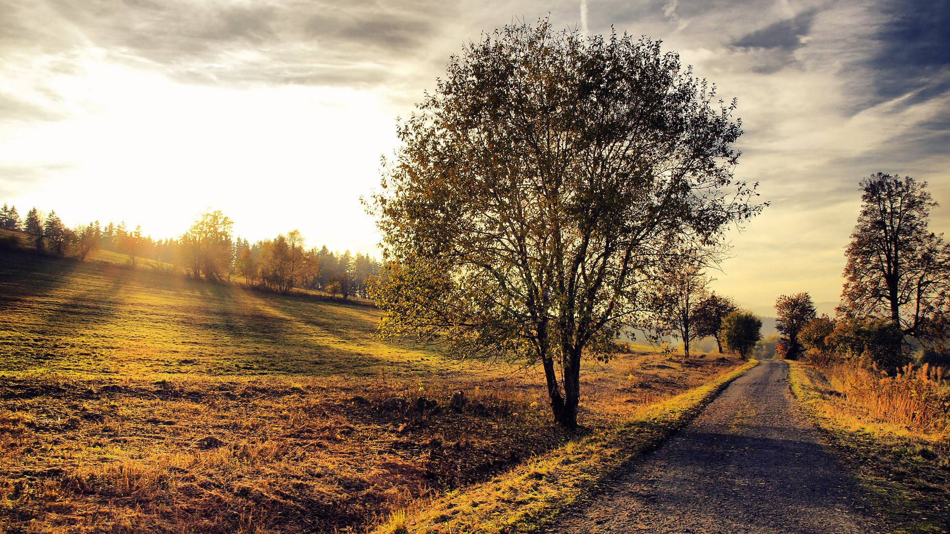 country road, hill, sunlight, Full HD Desktop Wallpaper