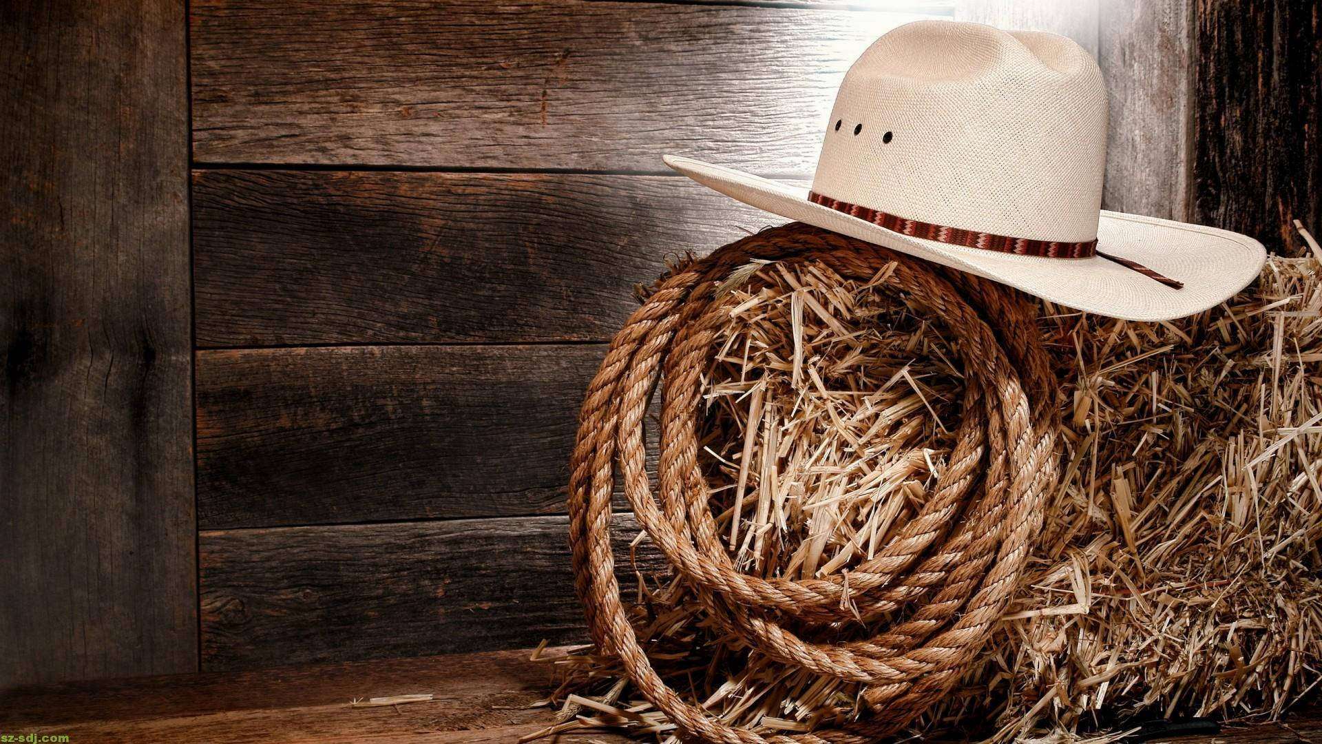 white cowboy hat, rolled rope, hay, Full HD Desktop Wallpaper