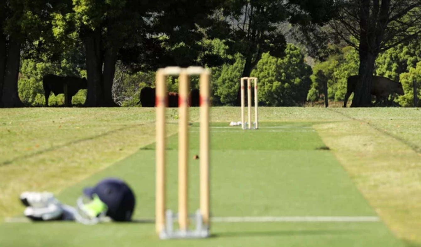 cricket pitch, wooden stumps, blue helmet, HD Desktop Wallpaper