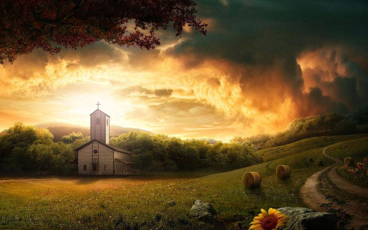 country church, sunflower, sunlit field, HD Desktop Wallpaper