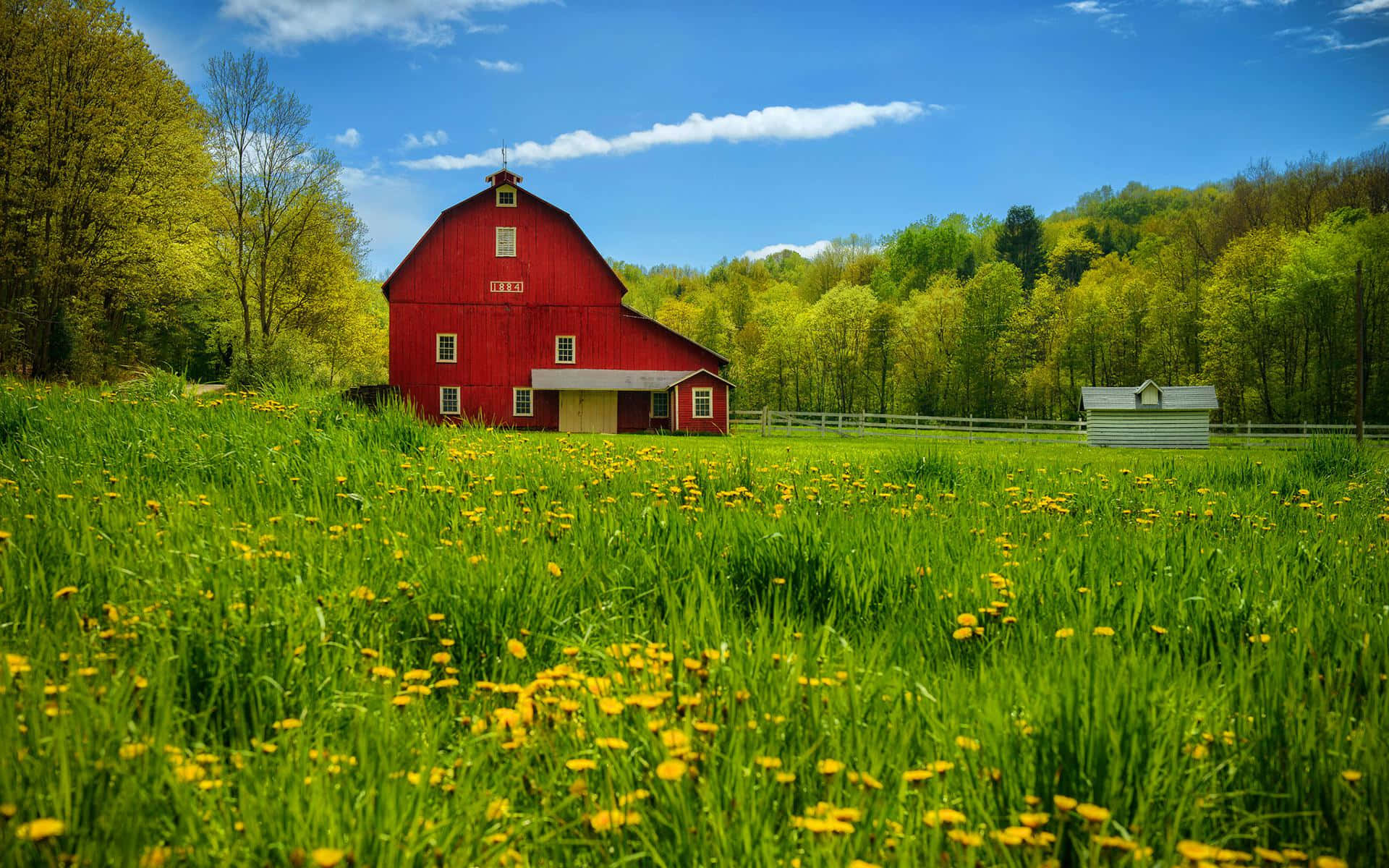 red barn, countryside, summer, Full HD Desktop Wallpaper