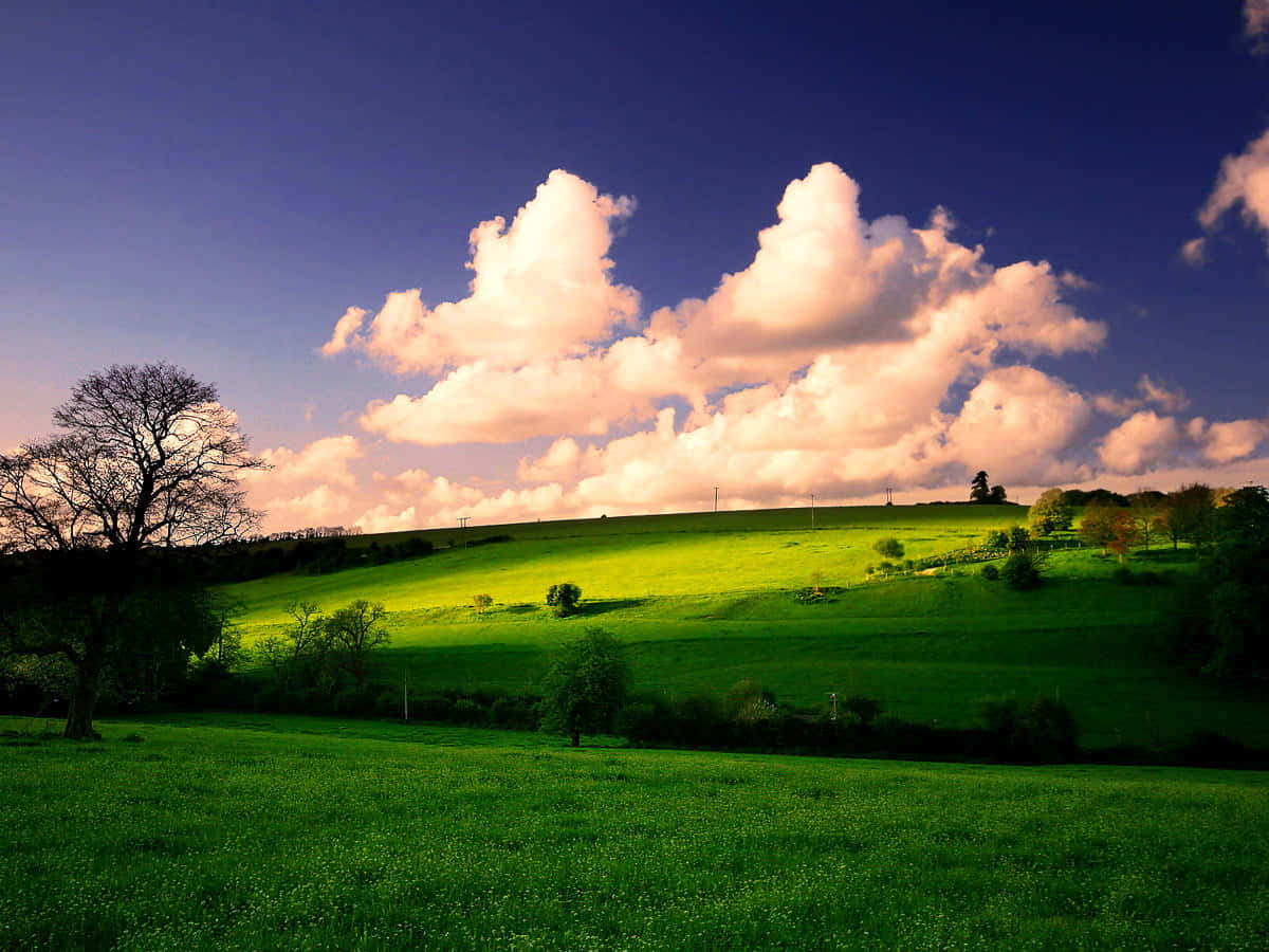 golden sunset light, pink and deep blue clouds, vibrant green rolling hills, SD Desktop Wallpaper